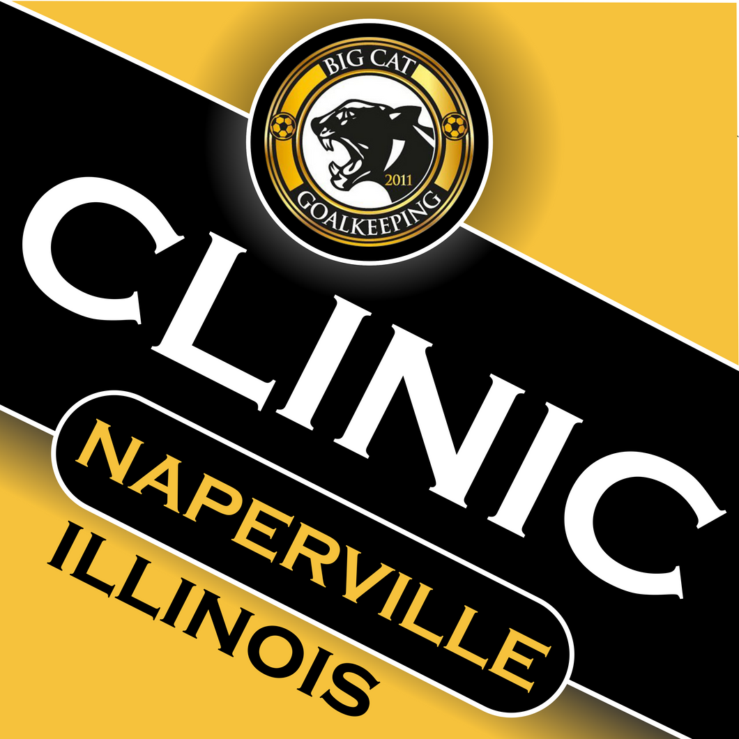 WEEKLY CLINICS - Naperville, IL (Fridays)