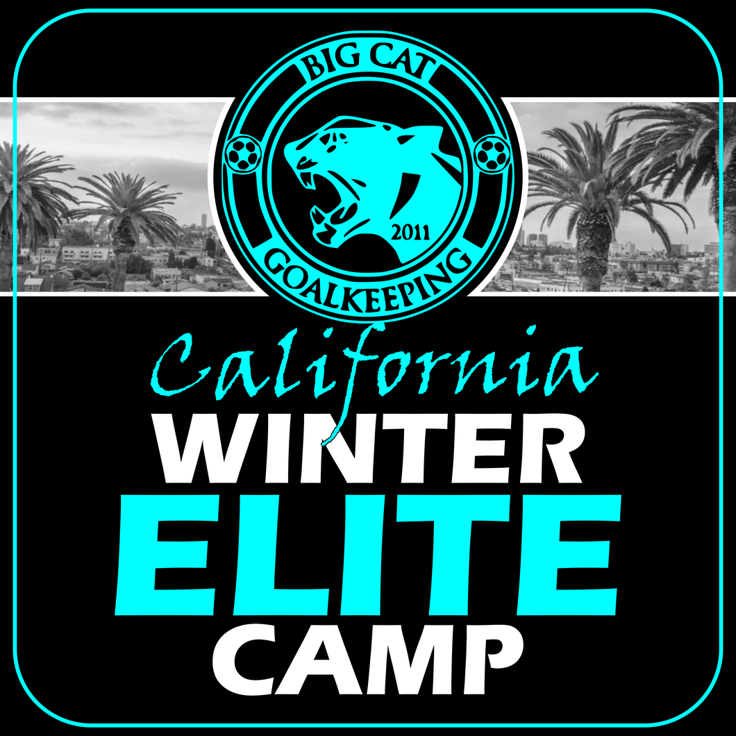 WINTER ELITE CAMP - TORRANCE CA