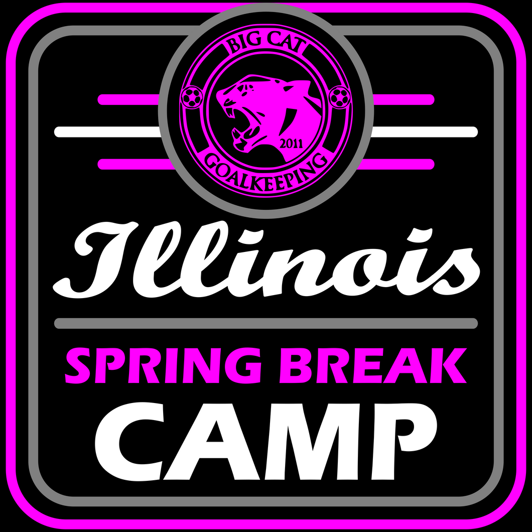 SPRING BREAK CAMP - Rockford IL