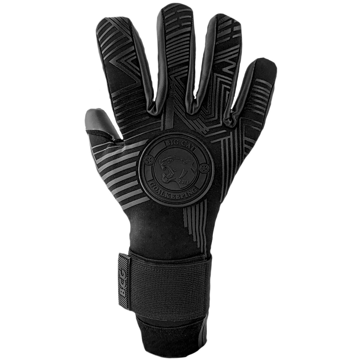 Big goalie gloves online