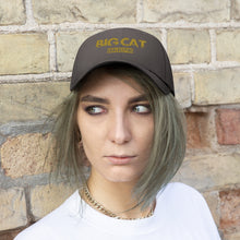 Load image into Gallery viewer, BIG CAT GK City Unisex Twill Hat
