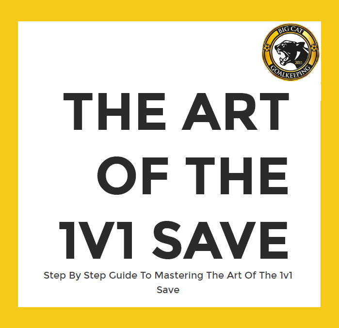 The Art of the 1v1 Save ebook